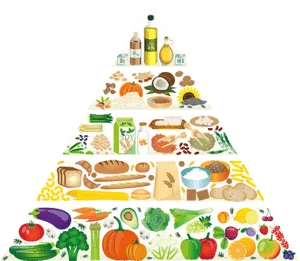 principi del nutrizionista a domicilio principi del nutrizionista a domicilio